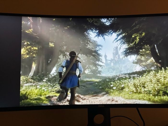 Dell U3419w USB-C Hub Gaming / Work Curve Monitor 4k