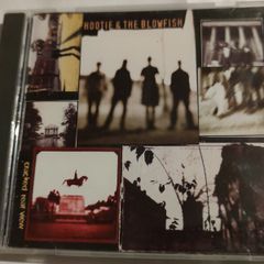 Hootie & The Blowfish - Cracked Rear View Cd