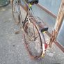 high nelly bikes Image 7