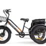 Electric bike ( Cargo Trike style) Image 8