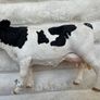 Schleich Farm Animal Dairy Cow Figure D-73527 Used approx. 8 cm. Damaged Please see photos Image 5