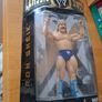 WWE wrestlers Image 4