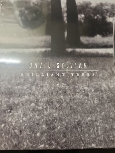 David Sylvian Brilliant trees opague black vinyl