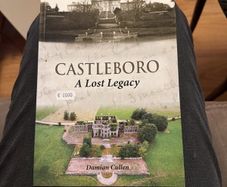 Castleboro - A Lost Legacy. Carnew. History.