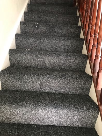 Carpet