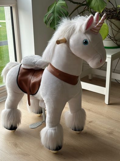 Unicorn riding ponie