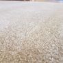 carpet Image 7