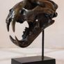 Sumatran Tiger Skull - Bronze, Metal/Wooden Stand Image 3