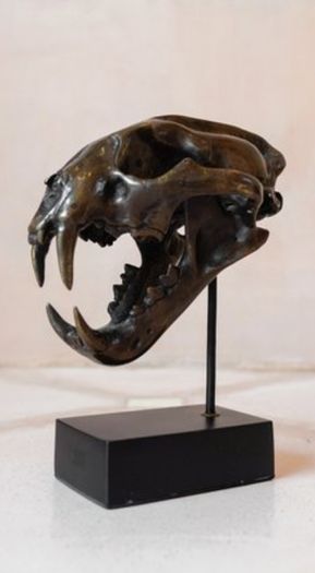 Sumatran Tiger Skull - Bronze, Metal/Wooden Stand