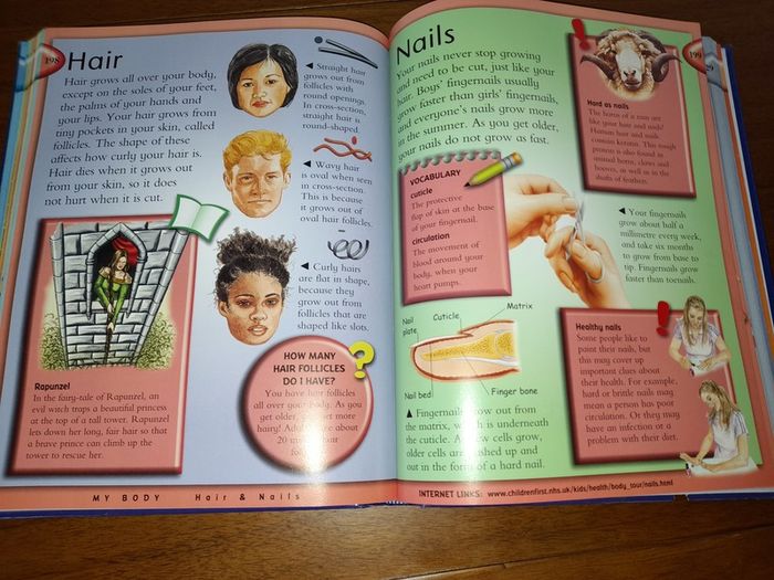 Children's Fact book