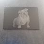 bulldog present dogs gift slate Image 2