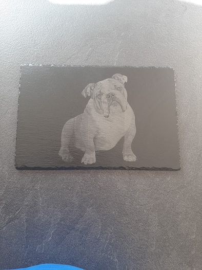 bulldog present dogs gift slate
