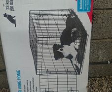Medium Dog Cage