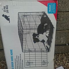 Medium Dog Cage