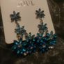 Earrings Image 3