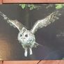 Fauna Postcards Image 3