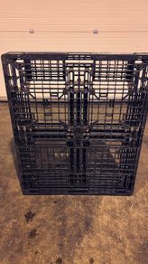 Free Plastic Pallets - Bluebell, Dublin 12
