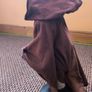 Star wars Mace Windu Image 2