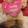 mothers day Teddy Image 2