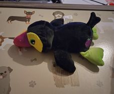 cuetitos fruititos toucan