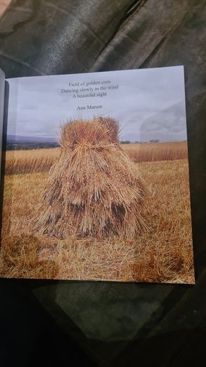How We Survived And Suprised. A Collection Of Writing By Polio Survivers In Ireland. Large Volume Book In Very Good Condition.