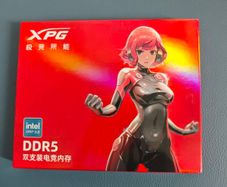 DDR 5 XPG Memory 2x16 gb