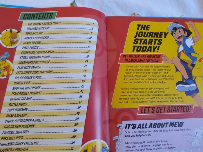 Pokemon Annual 2023 brand New