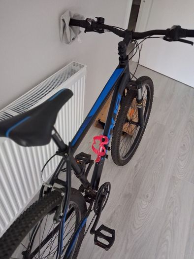 Adult bike