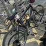 Giant bike Image 3