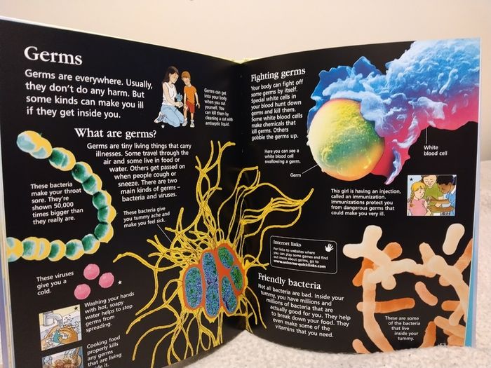 USBORNE First encyclopedia of the human body