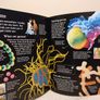 USBORNE First encyclopedia of the human body Image 9