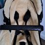 Joolz geo 2 buggy /pram Image 2