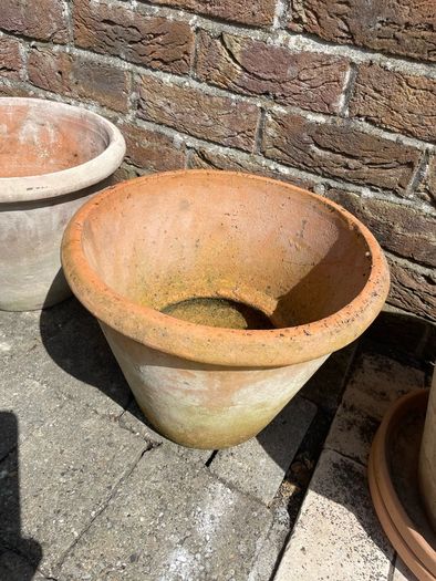 Terracotta Plant Pots