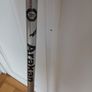 walking stick Image 2