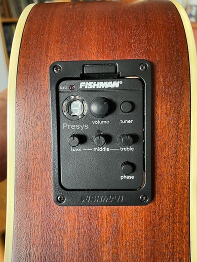 Guitar