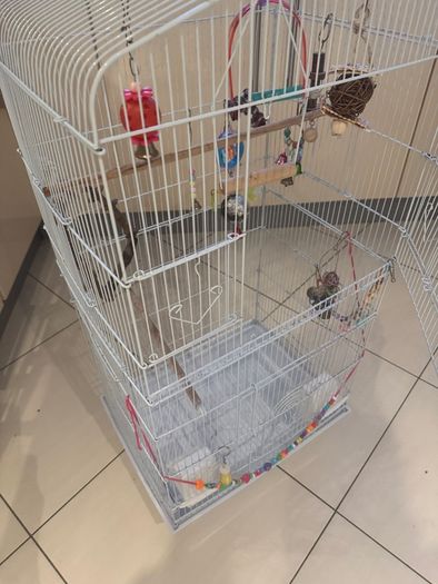 Free budgie cage and some supplies