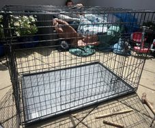 Large dog cage