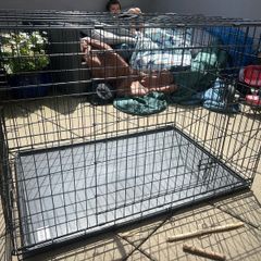 Large dog cage