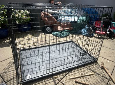 Large dog cage