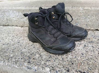 Adidas Terrex boots