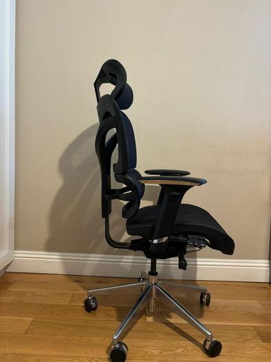Dorsum Executive Ergonomic Mesh Office Chair (negotiable)