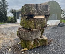 Beach tree slabs 250 years old