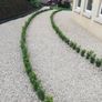 Box Hedging Image 9