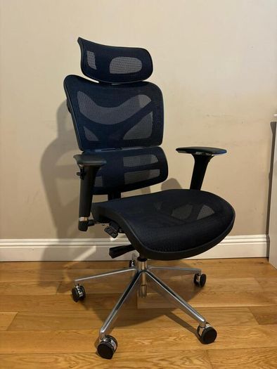 Dorsum Executive Ergonomic Mesh Office Chair (negotiable)