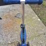 scoter Image 5