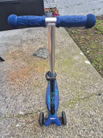 scoter