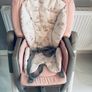 High Chair Image 3