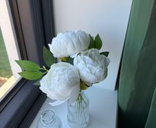 Flowers and Jars