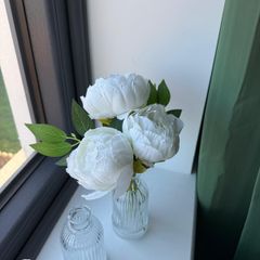 Flowers and Jars