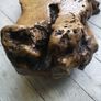 American Redwood Burl Image 4
